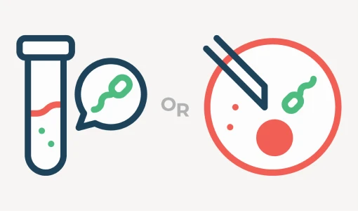 Egg and sperm combination icon