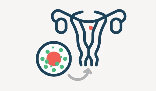 Embryo transfer icon