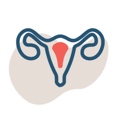 hysteroscopy icon