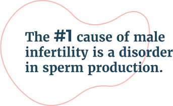 Infographic about the number 1 cause of male infertility being a disorder in sperm production